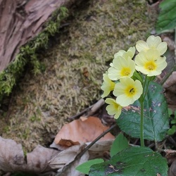 20190421 09 (176682 Besuche) 20190421 09