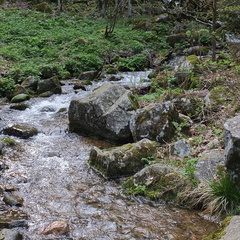 20190421 11 (180702 Besuche) 20190421 11