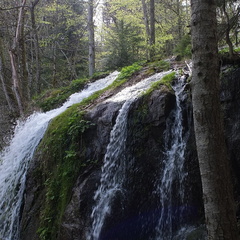 20190421 15 (183971 Besuche) 20190421 15