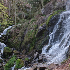 20190421 16 (183014 Besuche) 20190421 16