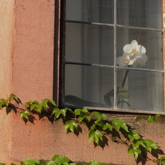 20190422 18 (181125 Besuche) 20190422 18