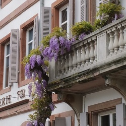 20190423 05 (184592 Besuche) 20190423 05