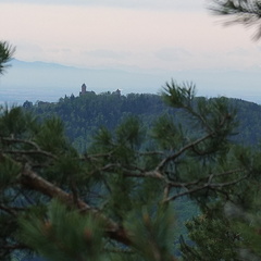 20190425 28 (180011 Besuche) 20190425 28