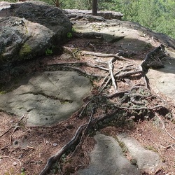 20190425 15 (190146 Besuche) 20190425 15